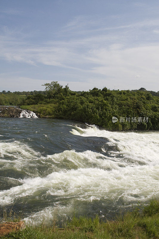 乌干达维多利亚(白色)尼罗河的急流。