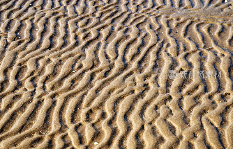 海滩上的湿沙呈波浪状。