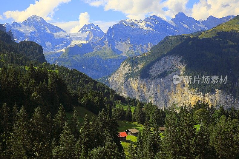 阿尔卑斯山田园诗般的风景:林地和农场，Lauterbrunnen，瑞士阿尔卑斯山