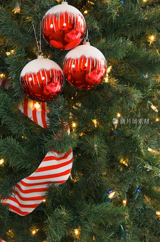 绿色松树上的红色圣诞装饰