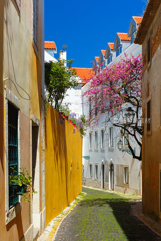 葡萄牙里斯本的春天大街