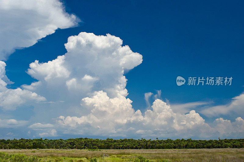 湿地上有孤立的雷暴