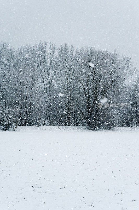 降雪