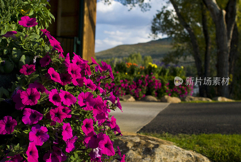 七彩花卉装饰园林，造景造景