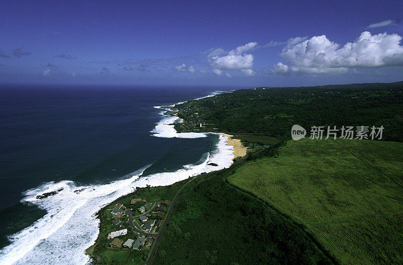 美国夏威夷瓦胡岛，北岸，威美亚湾。