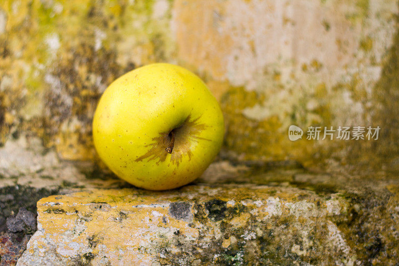 亮黄色苹果在杂色石壁(静物)