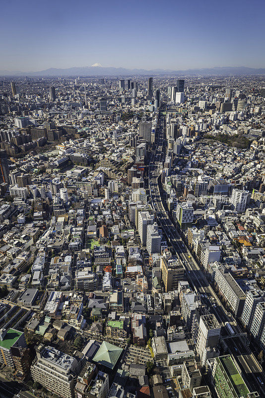 东京鸟瞰图从拥挤的城市到日本富士山