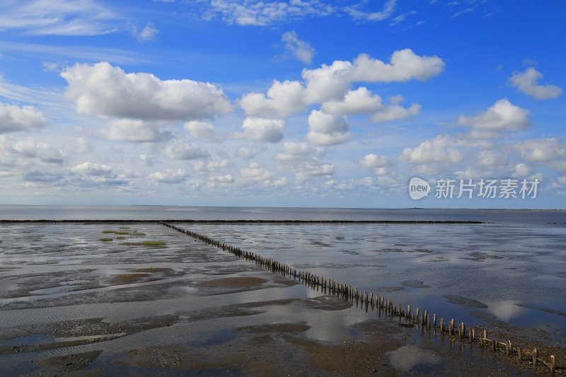 曼多岛的瓦登海