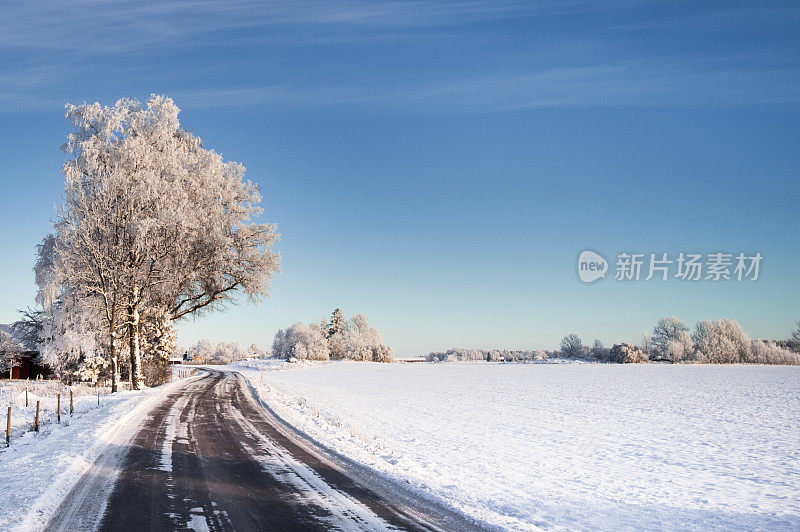 穿越瑞典的冬季公路