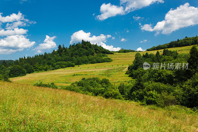 在山坡上的干草堆。Pieniny山脉,斯洛伐克。