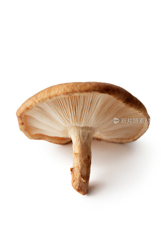 蘑菇:白色背景上孤立的香菇