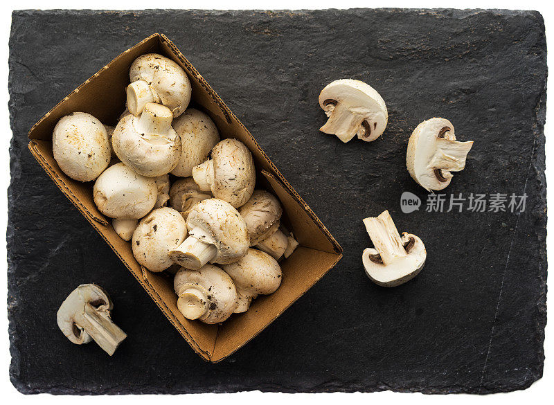白蘑菇