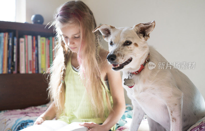 十几岁的女孩和狗一起看书