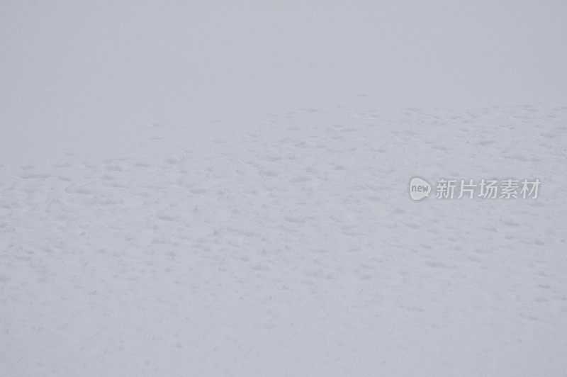 雪的背景