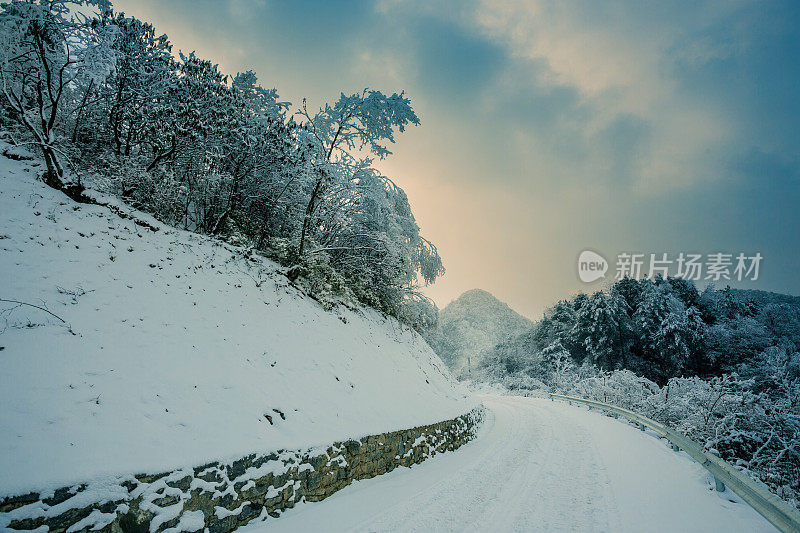 山上的树木覆盖着白霜和白雪