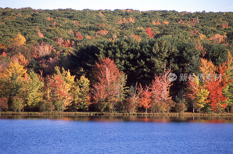 湖岸线秋天的颜色岩石峡州立公园燧石族马里兰州