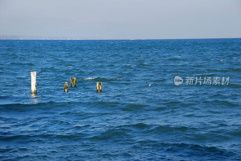 伸出水面