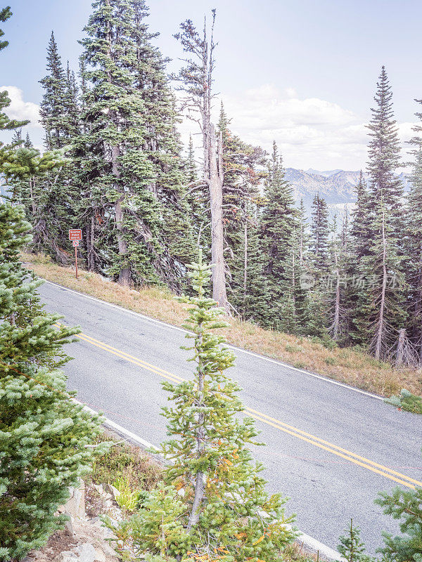 通往雷尼尔山的蜿蜒道路