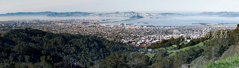 加州伯克利，旧金山和奥克兰为背景
