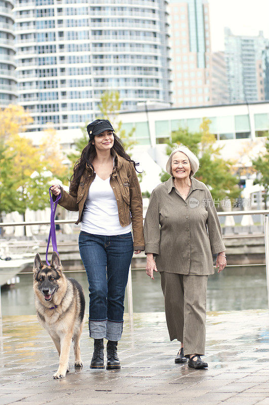 女人和德国牧羊犬在城市里散步(三)