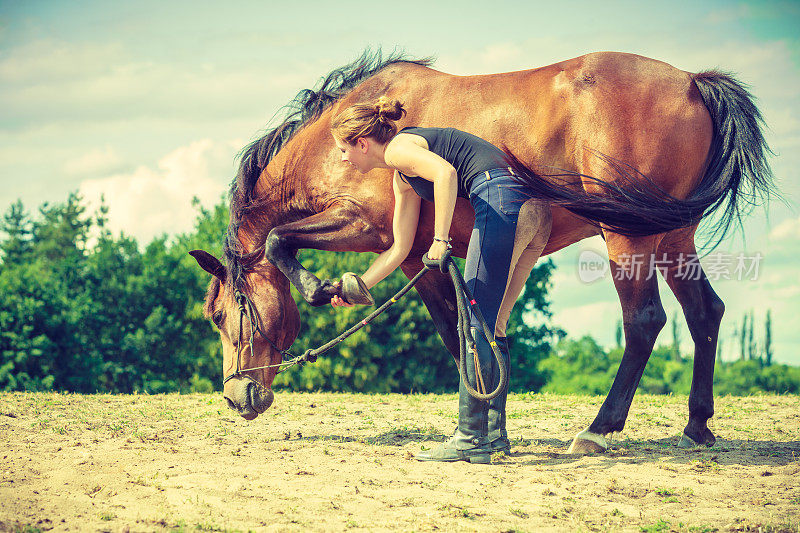 骑师女人照顾马