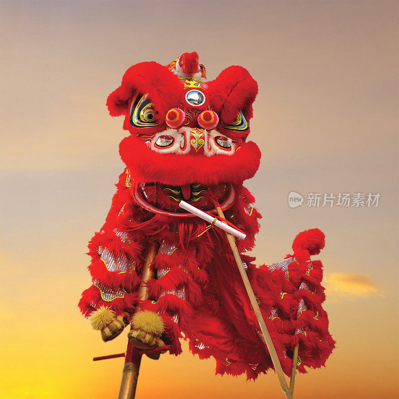 中国狮子服装(用于庆祝农历新年)