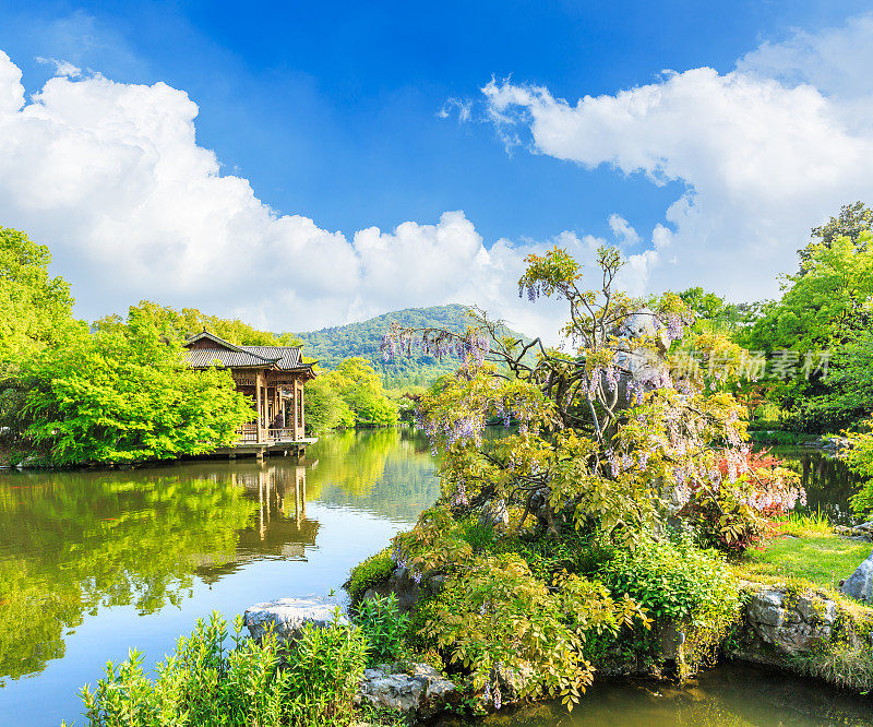 美丽的杭州西湖花园，中国的夏天