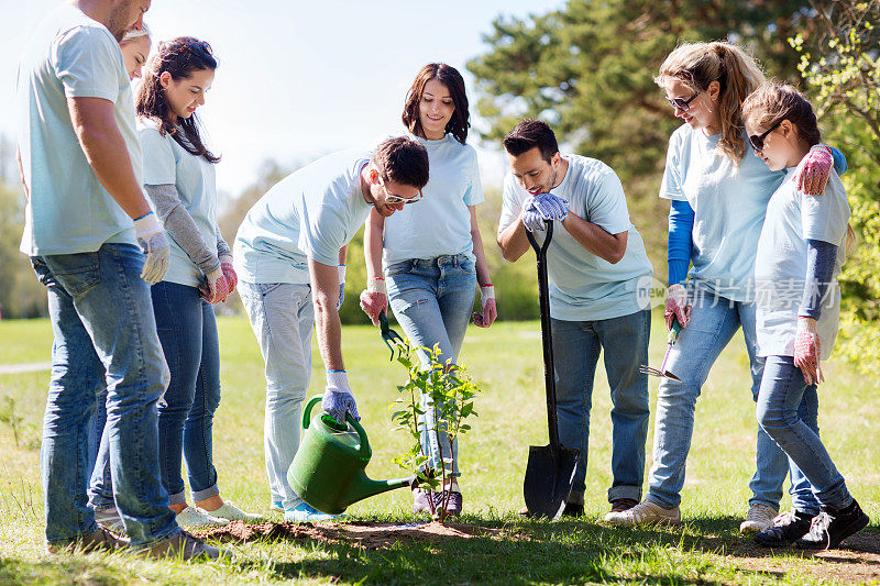 一群志愿者种植和浇灌树木