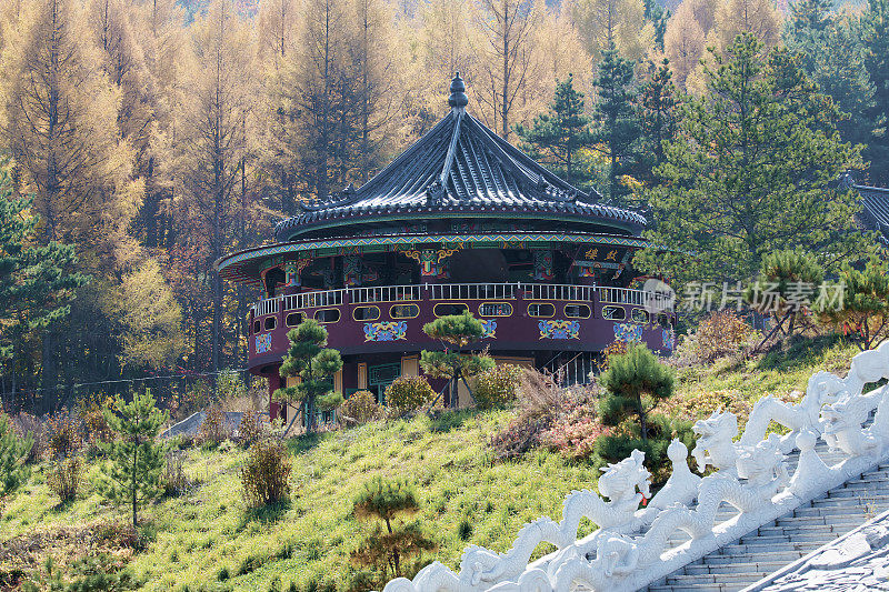 中国城市图门的一座寺庙，以秋天的森林为背景