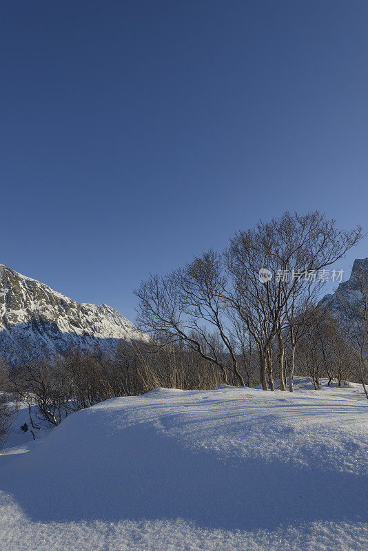 冰冻的冬季景观，在挪威北部的山顶有充足的阳光