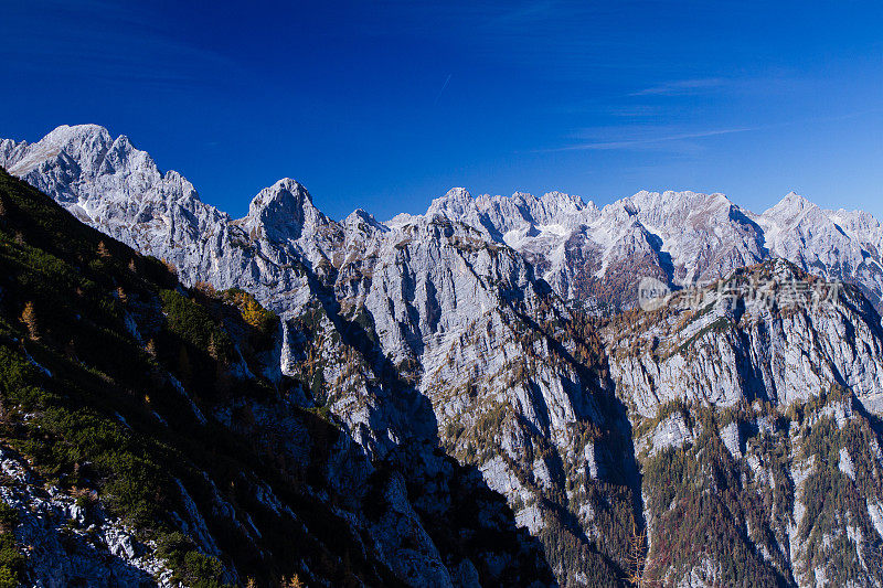 在阿尔卑斯山