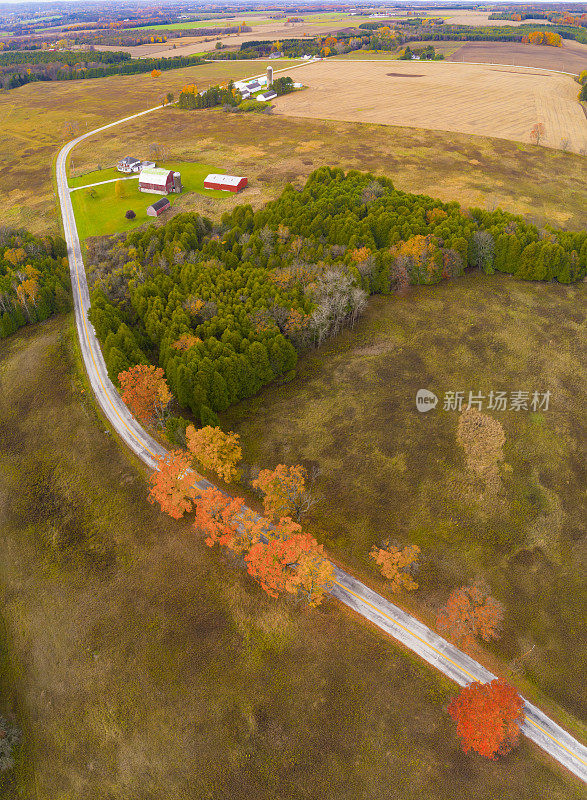 全景式的乡村道路通过惊人的秋天颜色