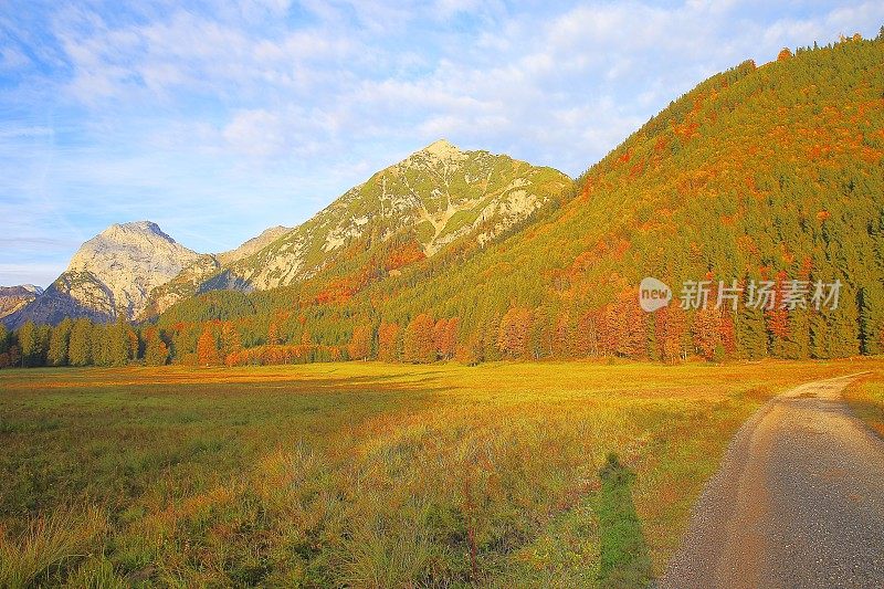 摄影师阴影和阿尔卑斯风景在奥地利的蒂罗尔，附近的卡文德尔山脉和巴伐利亚阿尔卑斯山在德国-雄伟的高山景观在金色的秋天，戏剧性的蒂罗尔雪山全景和田园式的蒂罗尔草地，奥地利