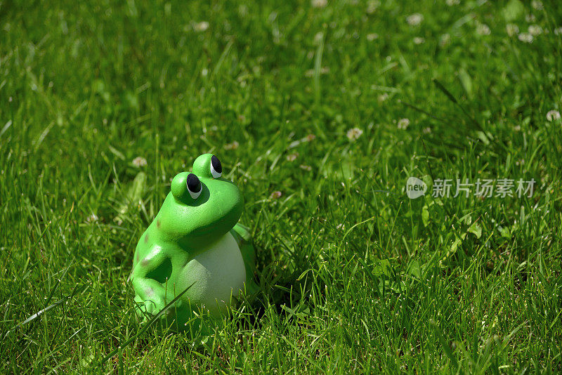 绿色的陶瓷青蛙在草地上