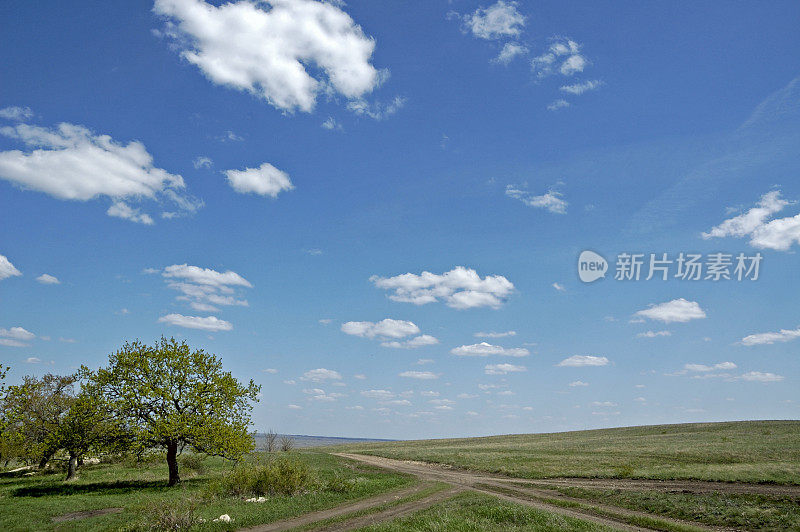 路的天空