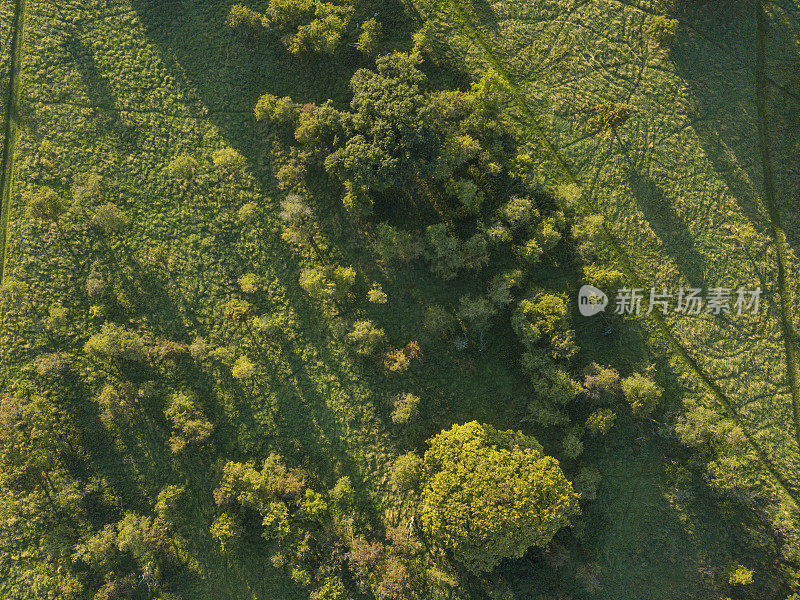 鸟瞰图凤凰公园，都柏林，爱尔兰。