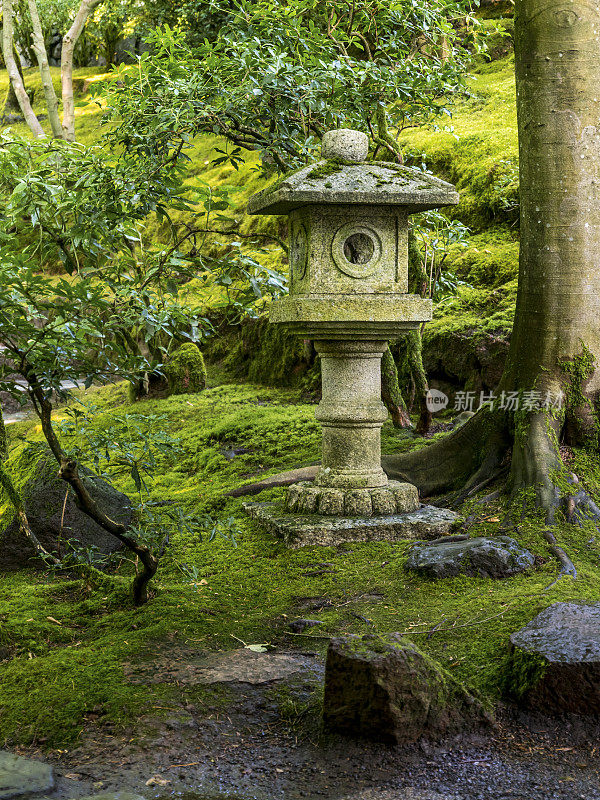 日本花园俄勒冈灯与绿色植物苔藓“CreativeContentBrief”700060701