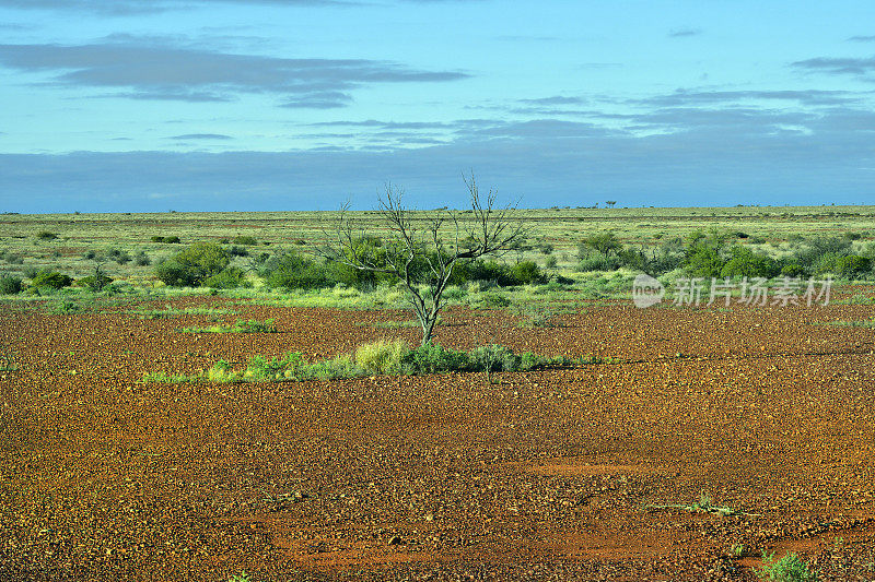 澳大利亚，SA，内陆景观