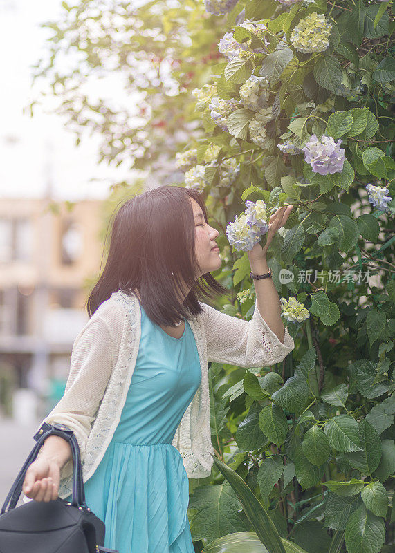 年轻女子和绣球花