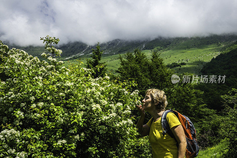 年长妇女徒步旅行朱利安阿尔卑斯山在春天，Primorska，斯洛文尼亚，欧洲