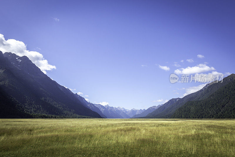 新西兰，南岛景观全景，Whataroa地区