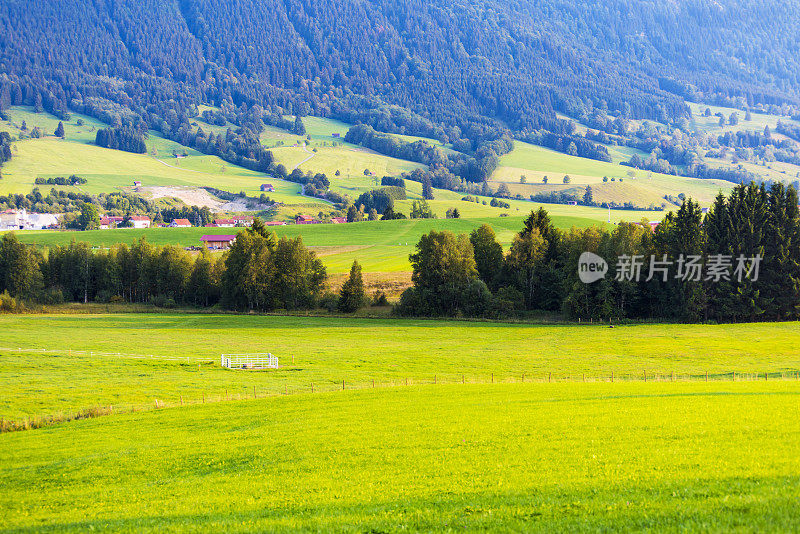 Schwangau和Fussen小镇之间的景观，德国