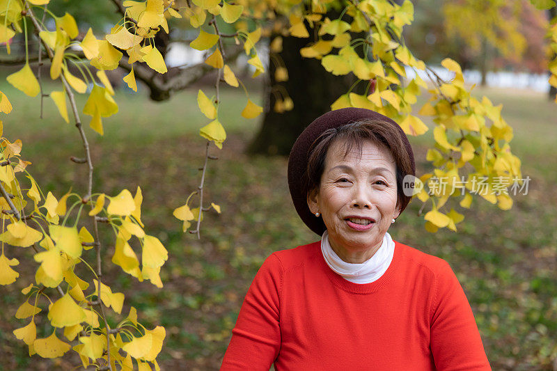 老年妇女享受秋天