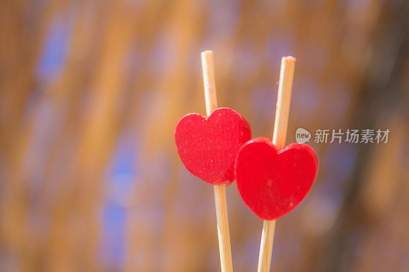 红心作为情人节的礼物。心是坠入爱河。框架情人节背景与两颗爱的心。