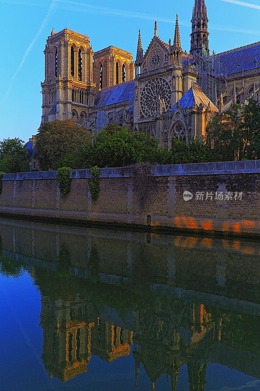 日出时巴黎圣母院大教堂侧视图-巴黎，法国