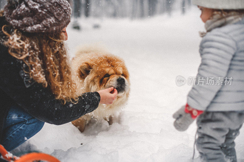 雪中的聚会时间