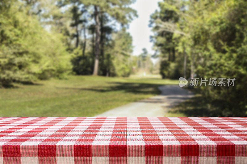 散焦的夏季公园场景与空白的野餐桌。