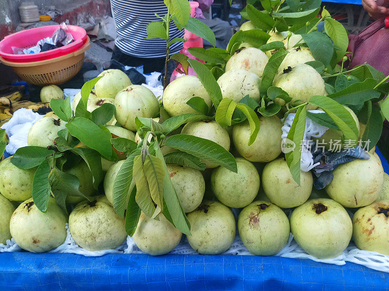 新鲜的绿色成熟的有机番石榴堆在水果和蔬菜街市场的摊位图片，新德里，印度