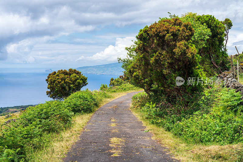 亚速尔群岛――皮科岛上令人惊叹的风景