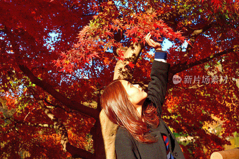 年轻的日本女人站在明亮的，红色的枫叶在井岛公园，东京